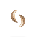 Classic Starry Night 3D Moon Stud Earrings